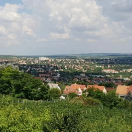 Bagolyvár Vendéglő Pécs - Külső kép