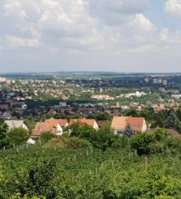 Bagolyvár Vendéglő