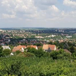 Bagolyvár Vendéglő Pécs - Külső kép