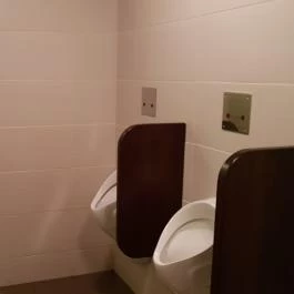 Bagolyvár Vendéglő Pécs - Mosdó