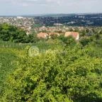 Bagolyvár Vendéglő Pécs - Külső kép