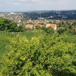 Bagolyvár Vendéglő Pécs - Külső kép