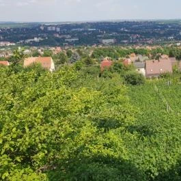 Bagolyvár Vendéglő Pécs - Külső kép