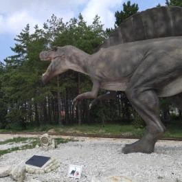 Dínó- és Kalandpark Rezi Rezi - Egyéb