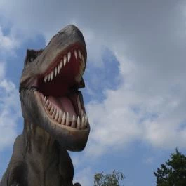 Dínó- és Kalandpark Rezi Rezi - Egyéb