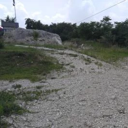 Dínó- és Kalandpark Rezi Rezi - Egyéb