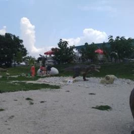 Dínó- és Kalandpark Rezi Rezi - Egyéb