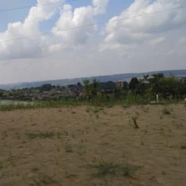 Dínó- és Kalandpark Rezi Rezi - Egyéb