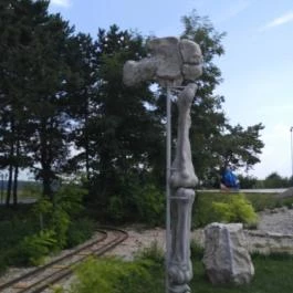 Dínó- és Kalandpark Rezi Rezi - Egyéb