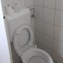 Dínó- és Kalandpark Rezi Rezi - Egyéb