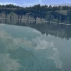 Forest Hills Biohotel & Golf Zirc - Medence/kert