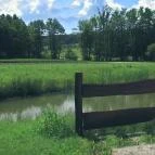 Forest Hills Biohotel & Golf Zirc - Környék