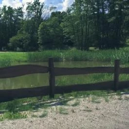 Forest Hills Biohotel & Golf Zirc - Környék