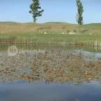 Forest Hills Biohotel & Golf Zirc - Környék