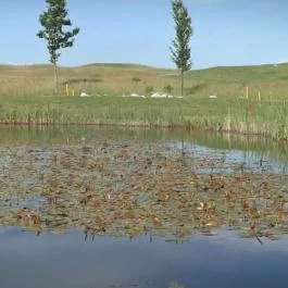 Forest Hills Biohotel & Golf Zirc - Környék