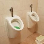 Hausmann Étterem Zamárdi - Mosdó