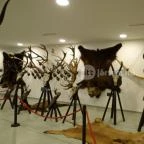 Helikon Kastélymúzeum Keszthely - 