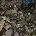 Helikon Kastélymúzeum Keszthely - 