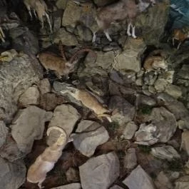 Helikon Kastélymúzeum Keszthely - Egyéb