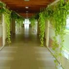 Hotel Azúr Siófok - Belső