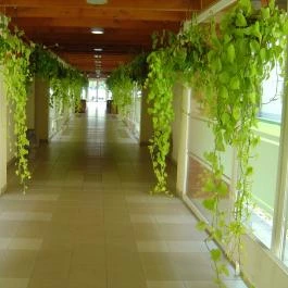 Hotel Azúr Siófok - Belső