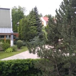 NaturMed Hotel Carbona Hévíz - Medence/kert