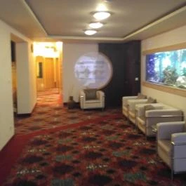 NaturMed Hotel Carbona Hévíz - Belső