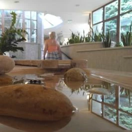 NaturMed Hotel Carbona Hévíz - Belső