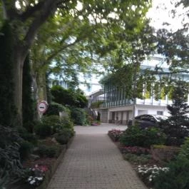 NaturMed Hotel Carbona Hévíz - Medence/kert