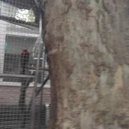 NaturMed Hotel Carbona Hévíz - Egyéb