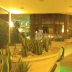 NaturMed Hotel Carbona Hévíz - Belső