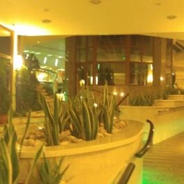 NaturMed Hotel Carbona Hévíz - Belső