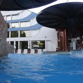 NaturMed Hotel Carbona Hévíz - Medence/kert