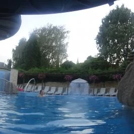 NaturMed Hotel Carbona Hévíz - Medence/kert