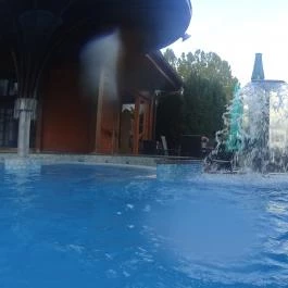 NaturMed Hotel Carbona Hévíz - Medence/kert