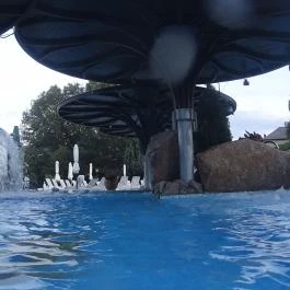 NaturMed Hotel Carbona Hévíz - Medence/kert