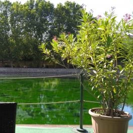 Hotel Gabriella étterme Tapolca - Külső kép