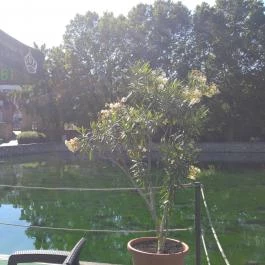 Hotel Gabriella étterme Tapolca - Külső kép