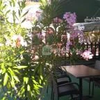 Hotel Gabriella étterme Tapolca - Külső kép