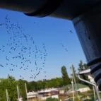 Hotel Yacht Wellness & Business Siófok - Belső