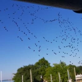 Hotel Yacht Wellness & Business Siófok - Belső