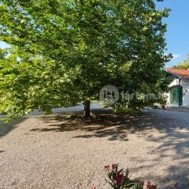 Hubertus-Hof Szálloda Balatonfenyves - Medence/kert