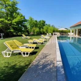 Hubertus-Hof Szálloda Balatonfenyves - Medence/kert