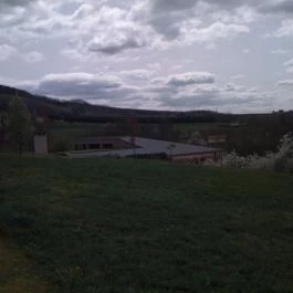 Konyári Pincészet Vendégháza, Balatonlelle - Környék