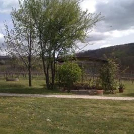 Konyári Pincészet Vendégháza, Balatonlelle - Medence/kert