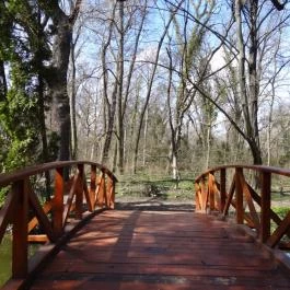 Vácrátóti Arborétum Vácrátót - Egyéb