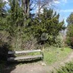 Vácrátóti Arborétum Vácrátót - 