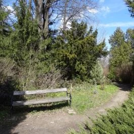 Vácrátóti Arborétum Vácrátót - Egyéb