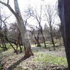 Vácrátóti Arborétum Vácrátót - 