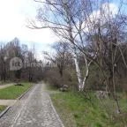 Vácrátóti Arborétum Vácrátót - 